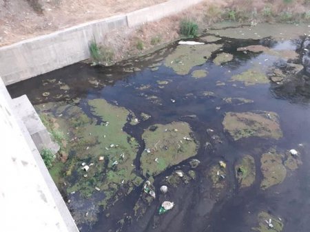 Azərbaycanda daha bir çay ekoloji böhranla üz-üzədir - FOTO