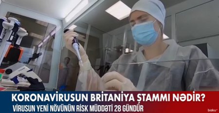 Koronavirusun Britaniya ştammı nədir? - SORĞU