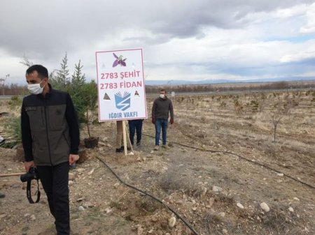 Türkiyədə Azərbaycan şəhidlərinin xatirəsinə ağacəkmə aksiyası keçirildi - FOTO