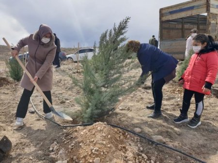 Türkiyədə Azərbaycan şəhidlərinin xatirəsinə ağacəkmə aksiyası keçirildi - FOTO