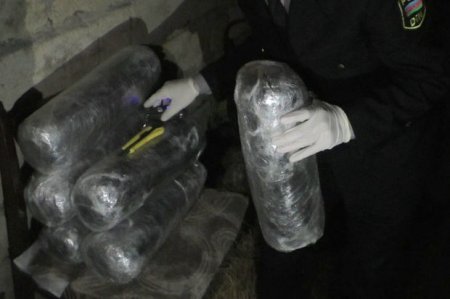 Astara sakininin evindən külli miqdarda narkotik vasitə aşkarlandı - FOTO