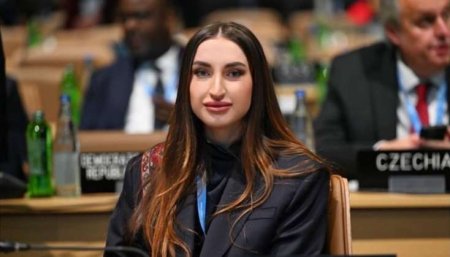 Alyona Əliyeva paylaşım etdi - FOTO