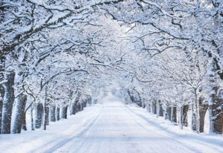 Bu ərazilərdə 12 dərəcəyədək şaxta qeydə alındı - FAKTİKİ HAVA