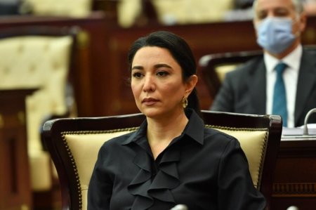 Ombudsman PARLAMENTDƏ