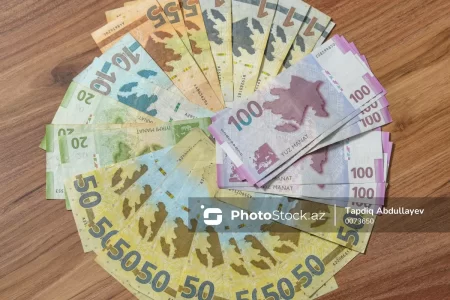 Azərbaycanda bəzi şəxslərə hər ay 1000 manatadək PUL MÜKAFATI veriləcək