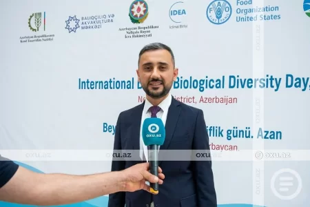 Ceyhun Əliyev: "Bu ay 150 min nərə balığının Xəzərə buraxılması nəzərdə tutulub"