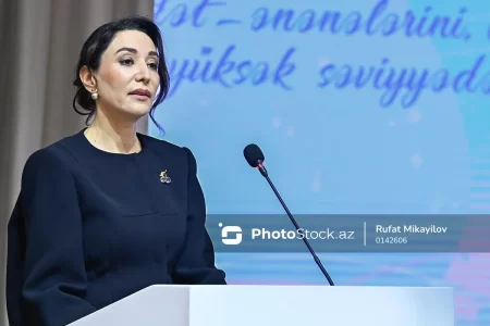 Səbinə Əliyeva: "Süni intellekt sistemləri insan ləyaqətinə hörmət prinsipləri ilə uzlaşdırılmalıdır"