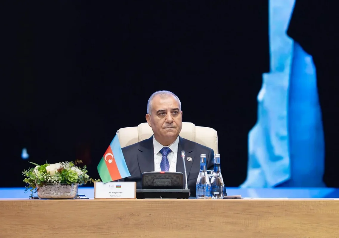 Əli Nağıyev: "Ənənəvi mexanizmlər yeni təhdidlərə çevik cavab verə bilmir"